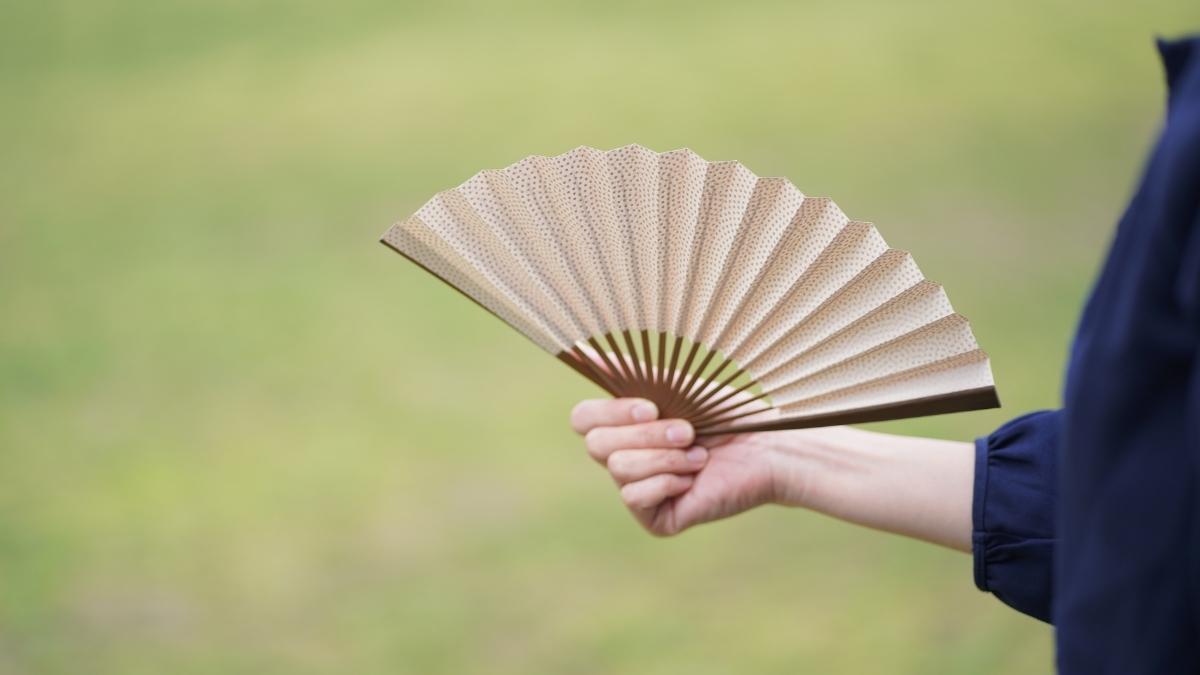 燻煙竹 煤竹 篠竹 女竹５本セット 燻煙竹 煤竹 篠竹 女竹 イチタカ様専用