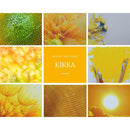【お香】SIX IN SENSE お試しサイズ (2個入り) | 調香 | BRIDGE AND BLEND