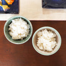 【大谷焼】梅里窯 令和茶碗 (白唐津, 碧緑唐津)