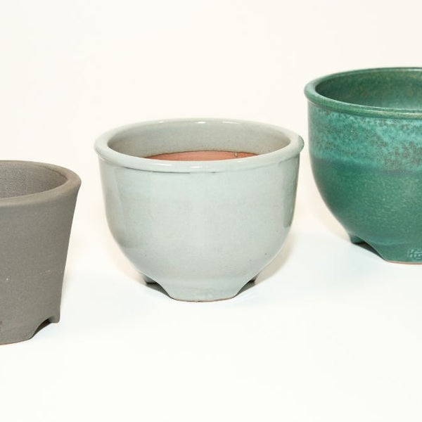 新商品】 植物の気持ちになって創る「市野伝市窯｜丹波立杭焼