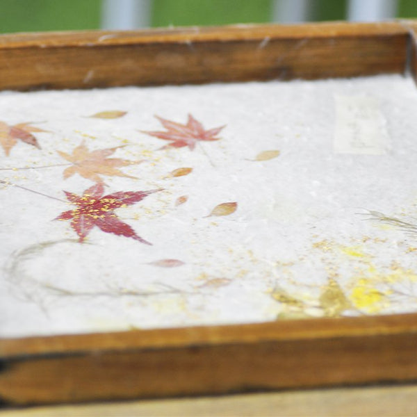 和紙のふるさとでつくられる高品質の越前和紙 ｜BECOS