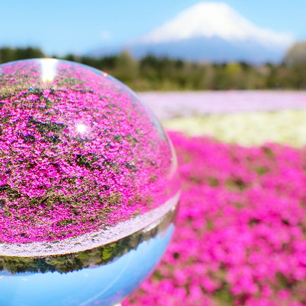 絵画 宝石画 水晶 梅 絵画 宝石画 水晶 梅pippi chic
