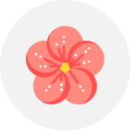 梅