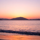 【箸】HASHIKURA SEASON01 夕暮色 ウェンジ八角 (箸置き付) | 若狭の塗箸 | 箸蔵まつかん