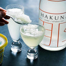 【江戸硝子】Paula XANA