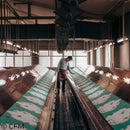 【手ぬぐい】初音オリジナルイラスト ver. | 手捺染 | 初音工房