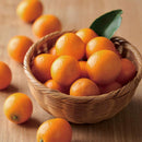 【カタログギフト (グルメ)】日本のおいしい食べ物 橙 (だいだい)