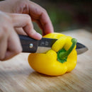 【ナイフ】TAFU 135mm レザーケース&着火棒付き | 野鍛冶 | ふくべ鍛冶