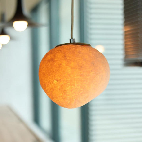 s0243-001-5_9e41cdb5-3978-448b  