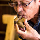 【置物】猫の誘い BRAIN(Multi) / 江口人形店 | 弓野人形 | ピースクラフツSAGA