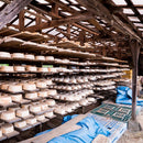 【置物】猫の誘い BRAIN(Multi) / 江口人形店 | 弓野人形 | ピースクラフツSAGA