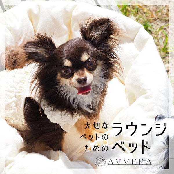 【ペット用ラウンジベッド】大切なペットのためのラウンジベッド 小型犬用 レギュラーサイズ | オーガニック製品 | AVVERA