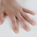 【マットレス】折り畳み高反発 17㎝ | 萩原株式会社