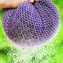 【レジャーマット】Rain Rain Go Away (ラージ) | 超撥水加工| 朝倉染布