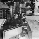 【屏風】ウルトラマン 富士山 (縁あり) | 本装屏風 - 水墨画 (大型配送料2,500円)