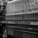 【い草-畳】イケヒコ い草ラグ カロン 黄 (M : 190×250cm, L : 190×300cm)