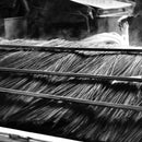 【い草-畳】イケヒコ い草ラグ 胡蝶蘭 赤 (M : 200×200cm, L : 200×250cm)