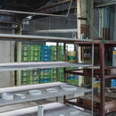 【有田焼】2016/ トマス アロンソ ハーフプレート 100 (ホワイト)