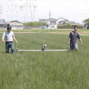 【い草-畳】イケヒコ い草ラグ グラン 黄 (191×250cm)