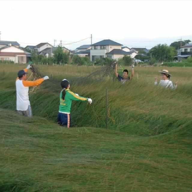 【い草-畳】イケヒコ い草ラグ 胡蝶蘭 紫 (M : 200×200cm, L : 200×250cm)