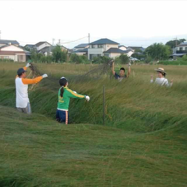 【い草-畳】イケヒコ い草ヨガマット アース 緑 (60×180cm)