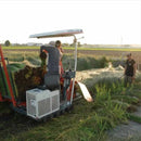 【い草-畳】イケヒコ い草ヨガマット アース 緑 (60×180cm)