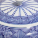 【平急須】平戸十草雷紋 | 三川内焼 | 平戸松山窯