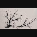 【平盃2点セット】冷感 桜 | 美濃焼 | 丸モ高木陶器