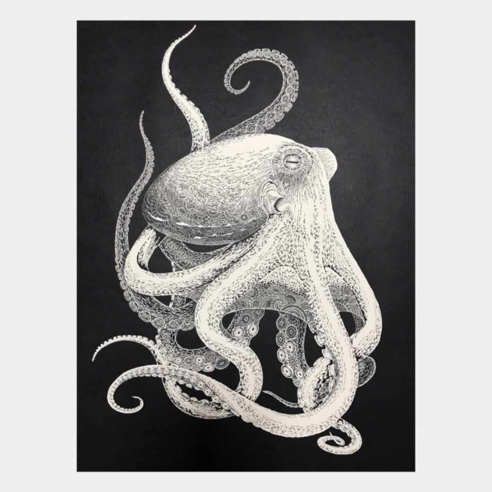 Octopus-1_1000x.jpg?v=1602635669