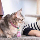 【京念珠】ねこのわ (中野伊助) 猫用ネックレス ＆ ピアスセット HEIAN