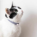 【京念珠】ねこのわ (中野伊助) 猫用ネックレス ＆ ピアスセット GINKAKU