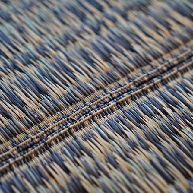 【い草-畳】イケヒコ い草ラグ カロン 黒 (M : 190×250cm, L : 190×300cm)