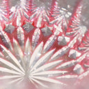 【マルチグラス】凛然 -rin zen- ピンク(金赤)｜切子