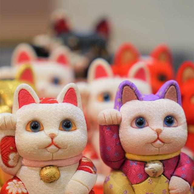 【招き猫】光彩 S | 江戸木目込み | 柿沼人形