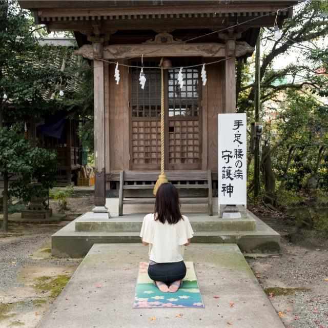 【い草-畳】イケヒコ い草ヨガマット SAKURA富士 (60×180cm)