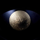 【お盆・トレー】おぼろ月 10寸 (漆) | 金沢箔 | 箔一