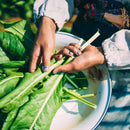 【ストール】天然パステル 手染め | 藍染 | インディゴ気仙沼