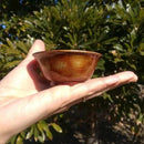 【新潟漆器】塗師Kiyo (小林仏壇店) おちょこ・ぐい呑 (2点セット)｜BECOSオリジナル