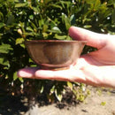 【新潟漆器】塗師Kiyo (小林仏壇店) おちょこ・ぐい呑 (銀)｜BECOSオリジナル