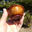 【新潟漆器】塗師Kiyo (小林仏壇店) おちょこ・ぐい呑 (ナチュラル)｜BECOSオリジナル