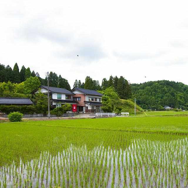 【輪島塗】楽 KOKEMUSU 漆スクリーン 山脈 A