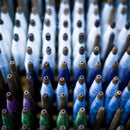 【ネクタイ】衿結 ストライプ献上 (印度藍) | 博多織 | OKANO