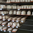 【古伊万里焼】林九郎窯 葉月 珈琲碗皿 ai