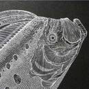 【クラフト】切り剣Masayo（福田理代）リュウグウノツカイ