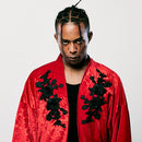 【ジャケット羽織】Lily of da City Valley「憂國」 | 着物 | VEDUTA