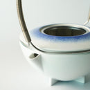 【ポット】スタジオ ウィキ ソマーズ ティーポット (スプレー) | 有田焼 | 2016/