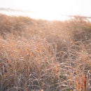 【箸】HASHIKURA SEASON01 ウェンジ八角 風色 22.5cm (食洗機 可) | 若狭の塗箸 | 箸蔵まつかん