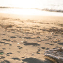 【箸】HASHIKURA SEASON01 浜色 ウェンジ八角 (箸置き付) | 若狭の塗箸 | 箸蔵まつかん