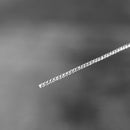 【ピアス】Anemone (L) | 銀細工 | CHECOS