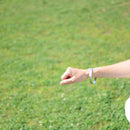 【バングル】4105 | 尾張仏具